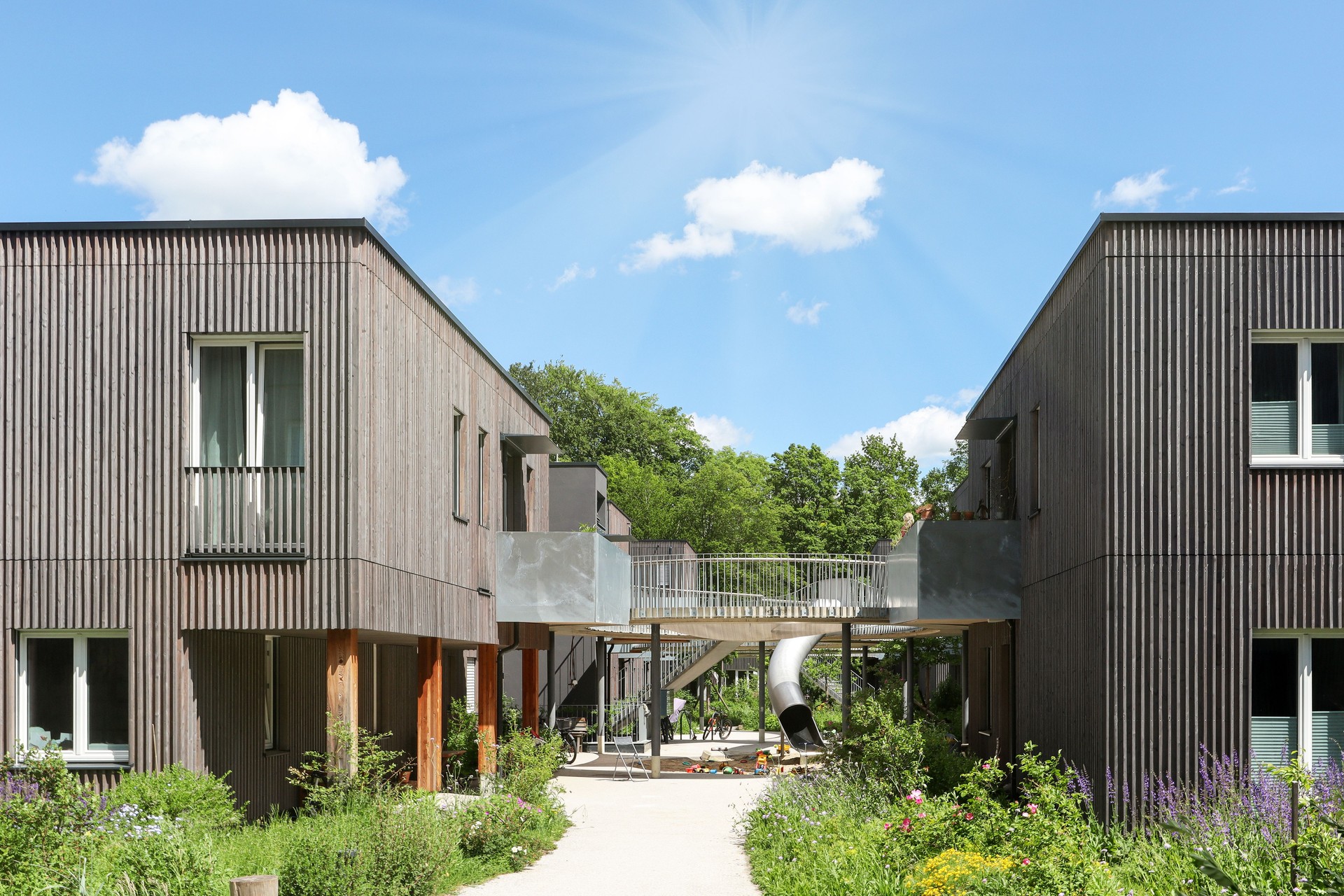 Residential area with ecological and sustainable green residential buildings, low-energy houses with wooden facade, timber construction and green courtyard